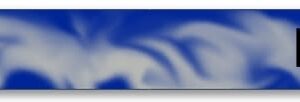 SUGAR FREE TROOPERS WRISTBAND (Optional Size)